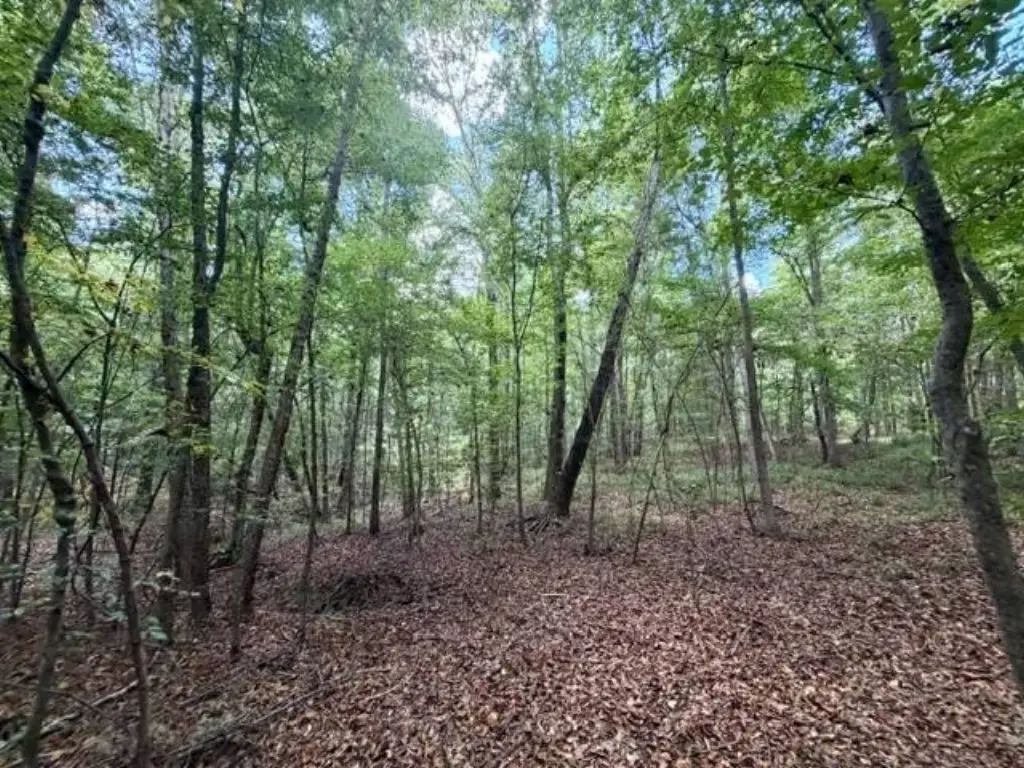 Picture 48