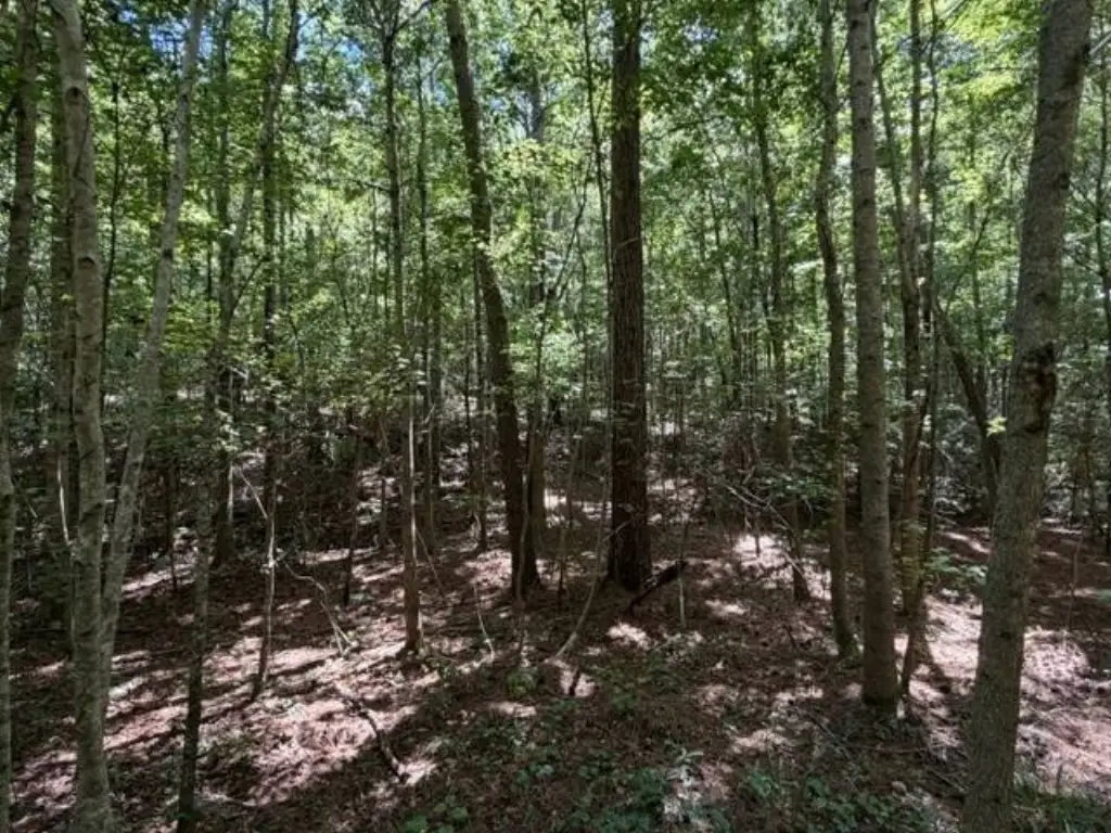 Picture 22
