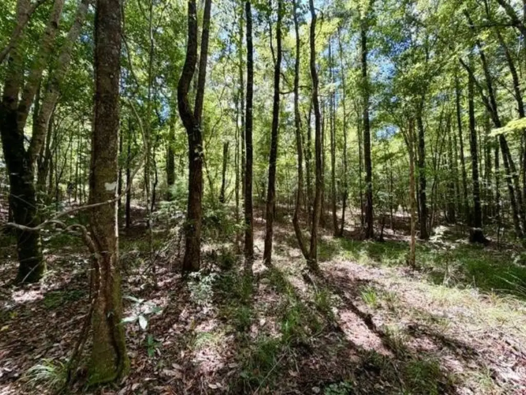 Picture 30
