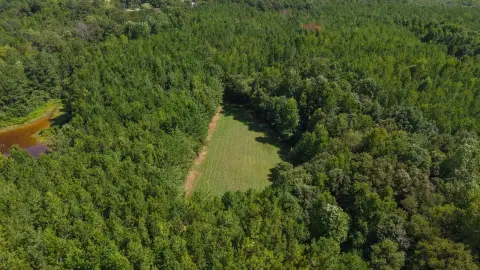 Hunting Land with Shooting Houses