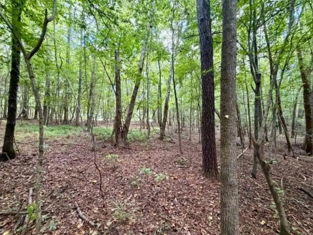 Picture 46