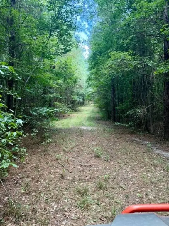 Picture 23