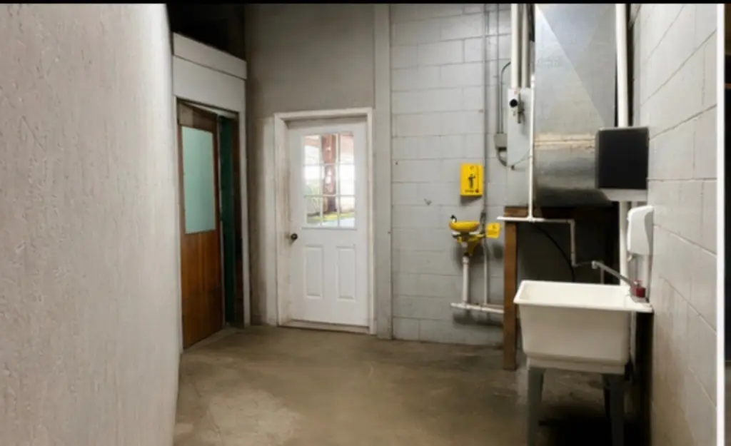 Picture 9