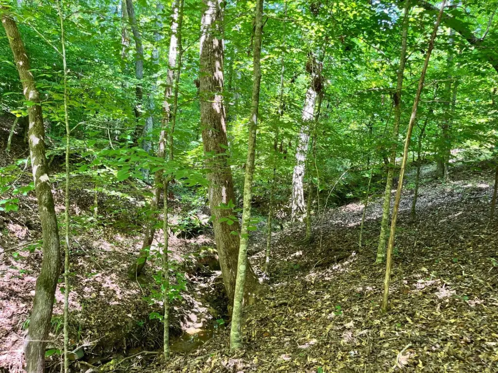 Picture 10