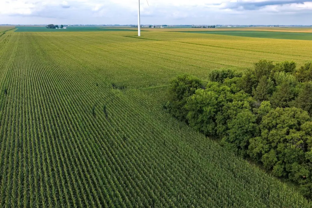 Picture 18