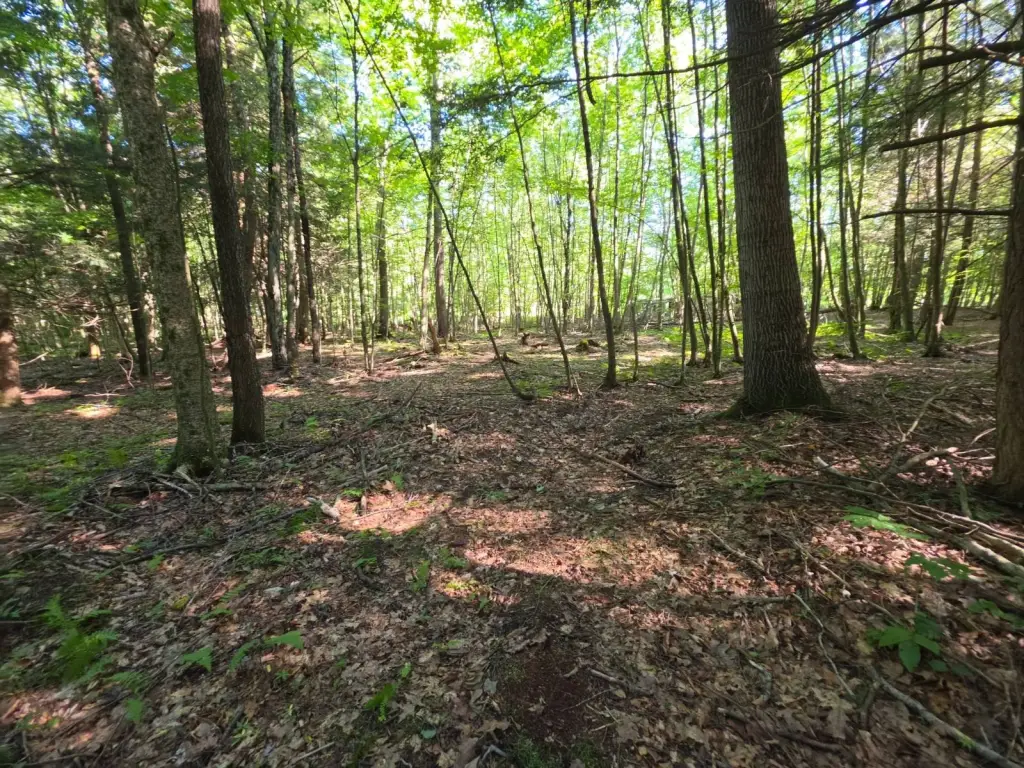 Picture 22