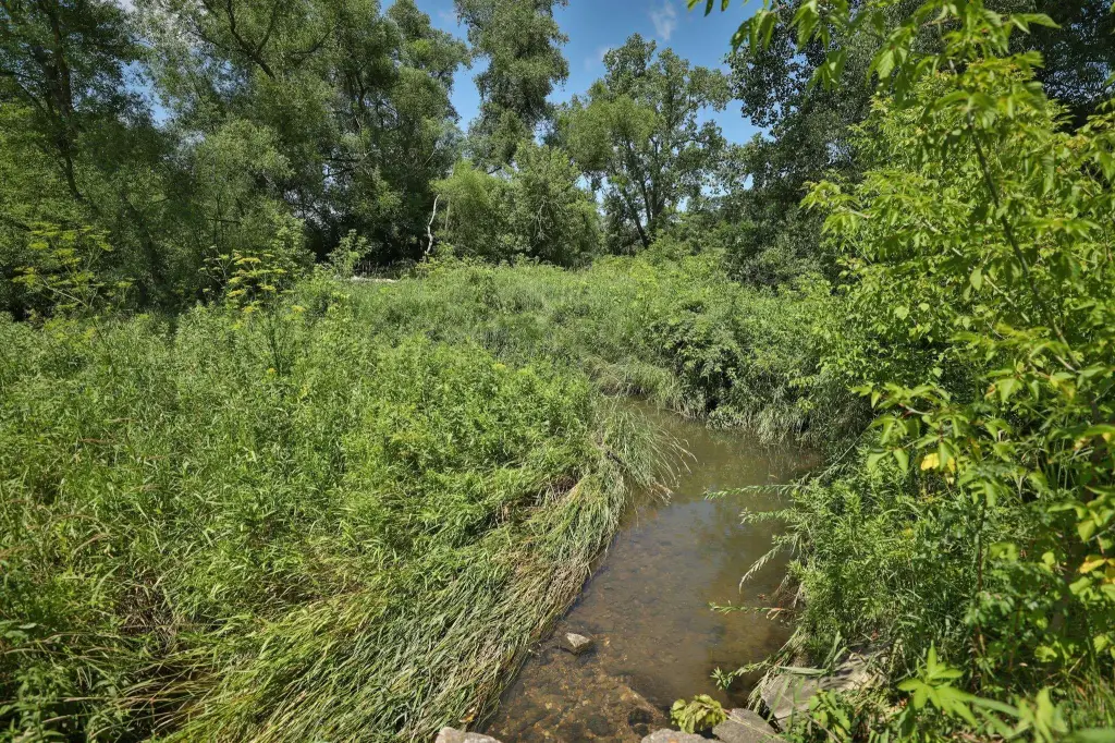 Picture 38