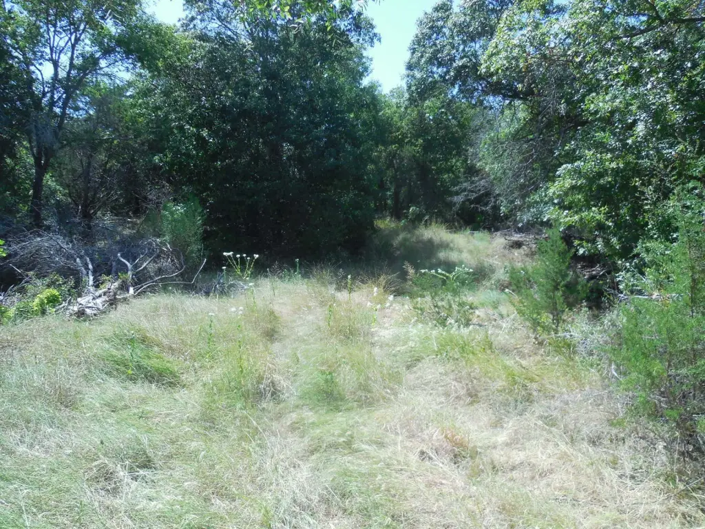 Picture 13