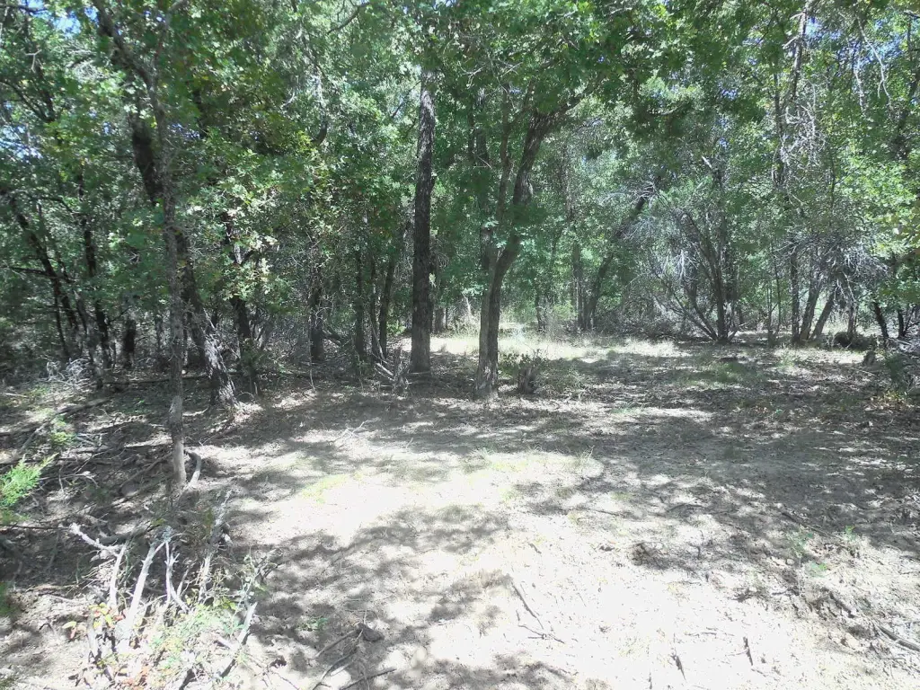Picture 15