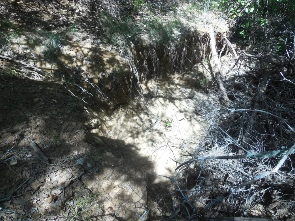 Picture 16