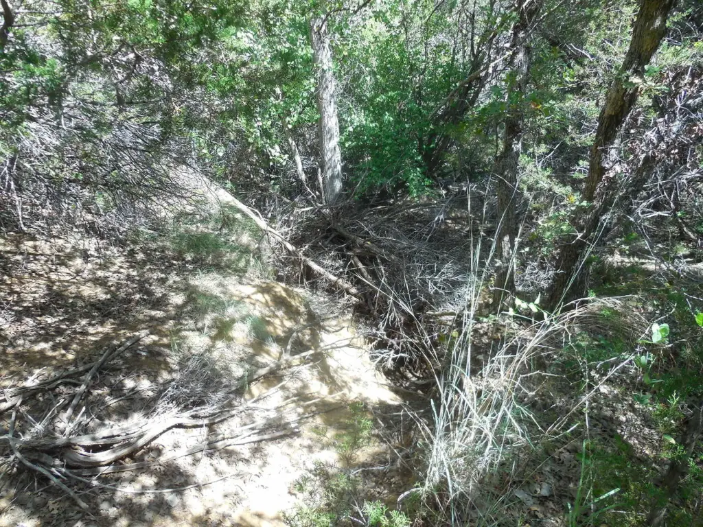 Picture 17