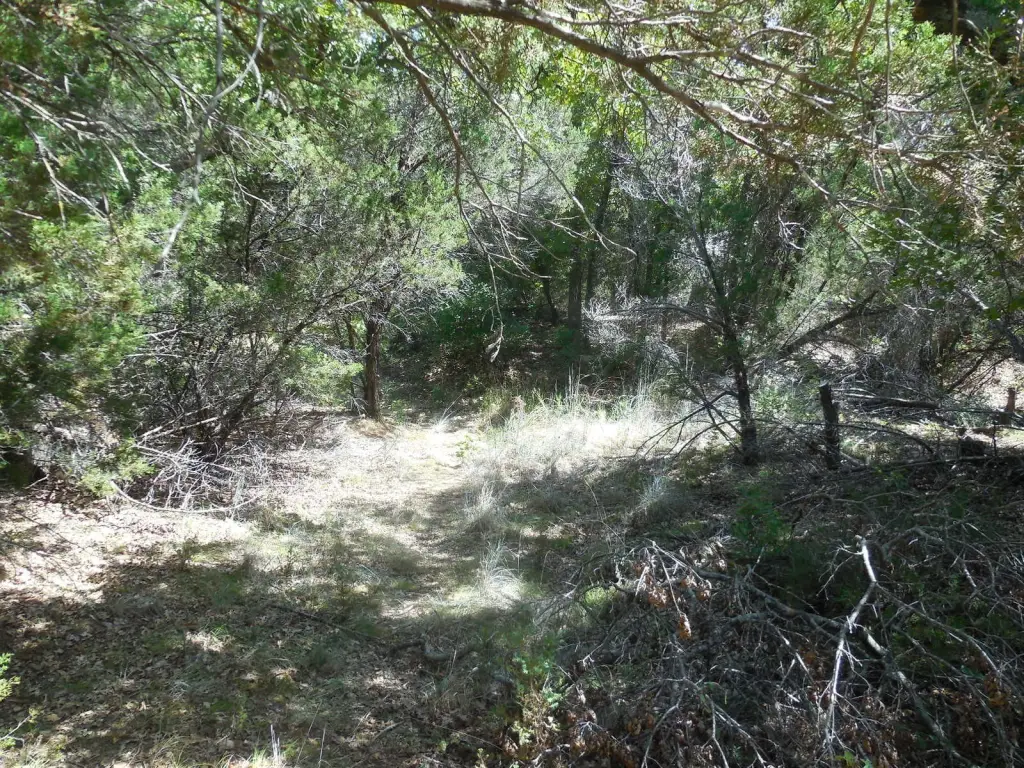 Picture 14
