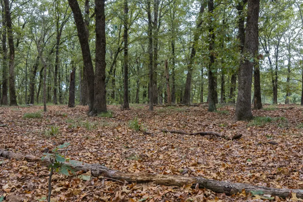 Picture 33