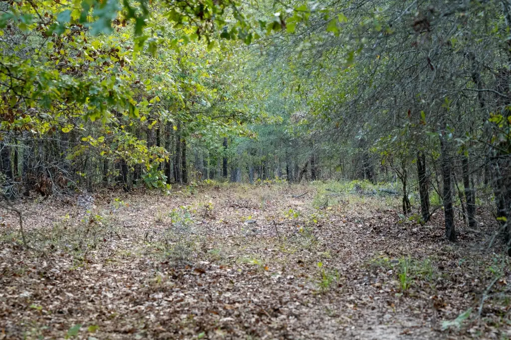 Picture 23