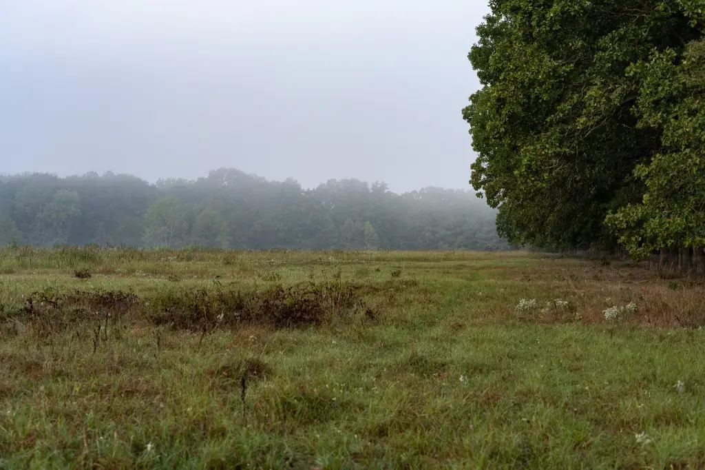 Picture 26