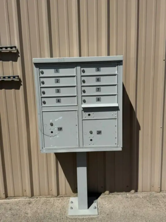 Picture 8