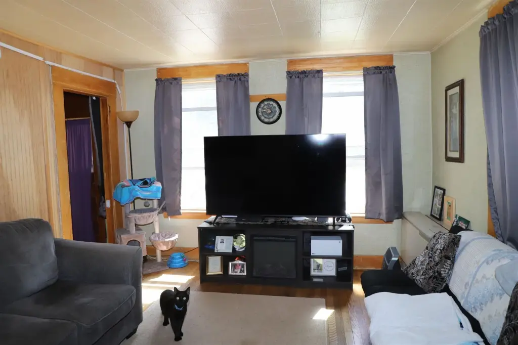 Picture 3