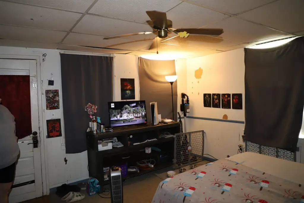 Picture 23