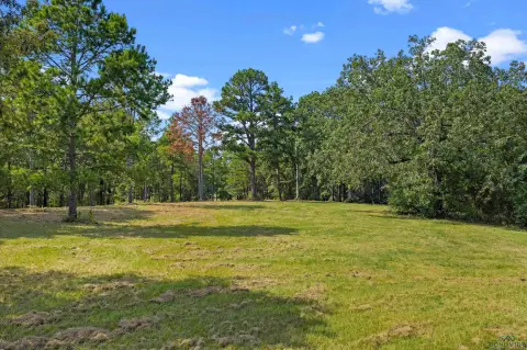 Secluded Acreage in Diana, Texas