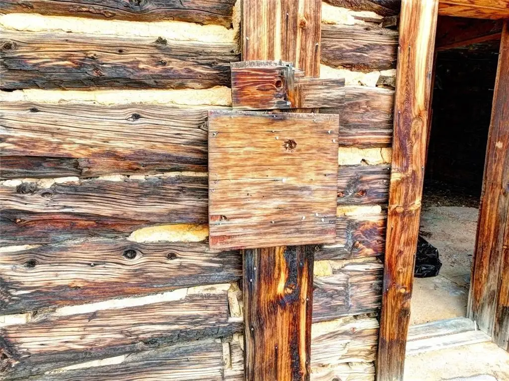 Picture 17