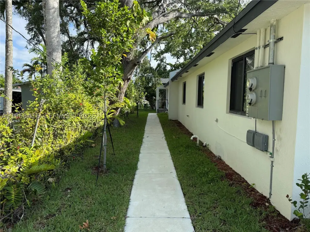 Picture 5