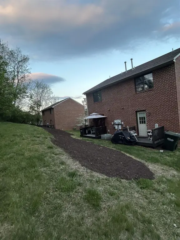 Picture 5