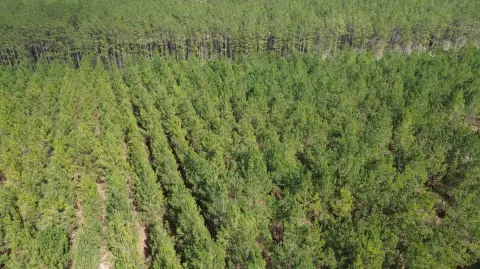 Cottageville Vacant Land For Sale