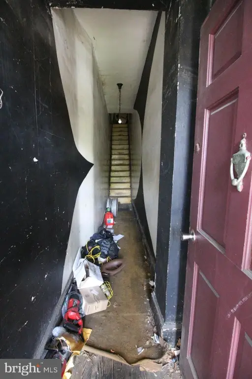 Picture 17