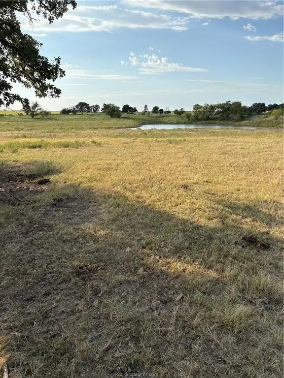 Picture 2