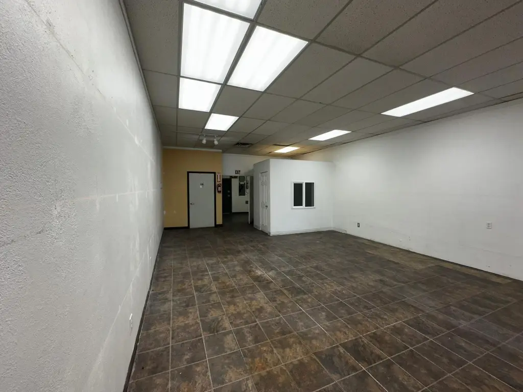 Picture 5