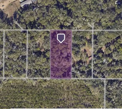 Agricultural Land Parcel