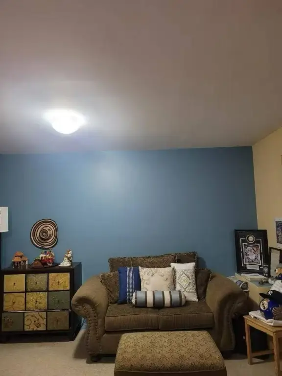 Picture 4
