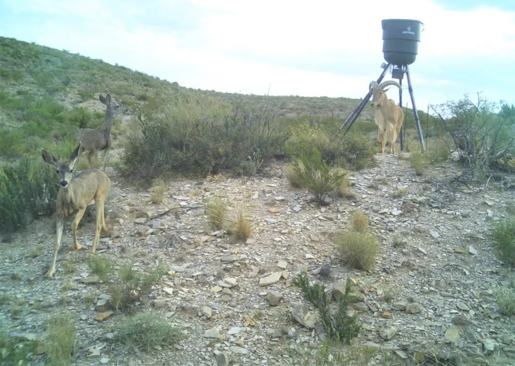 Picture 30