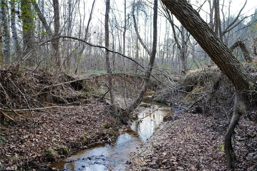 Picture 31