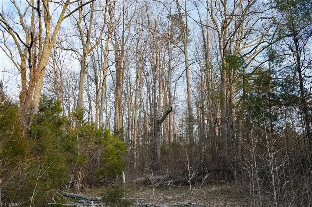 Picture 25