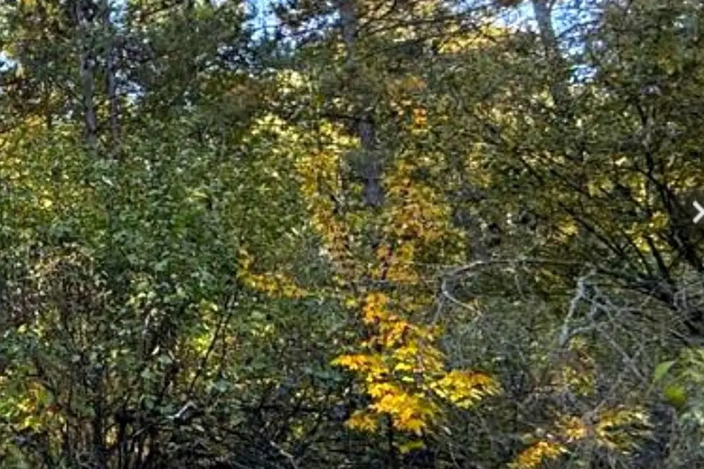 Picture 7