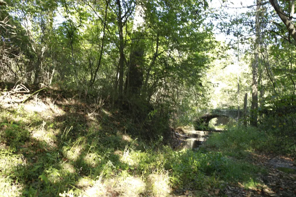 Picture 13