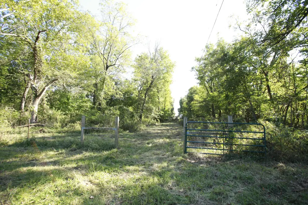 Picture 12