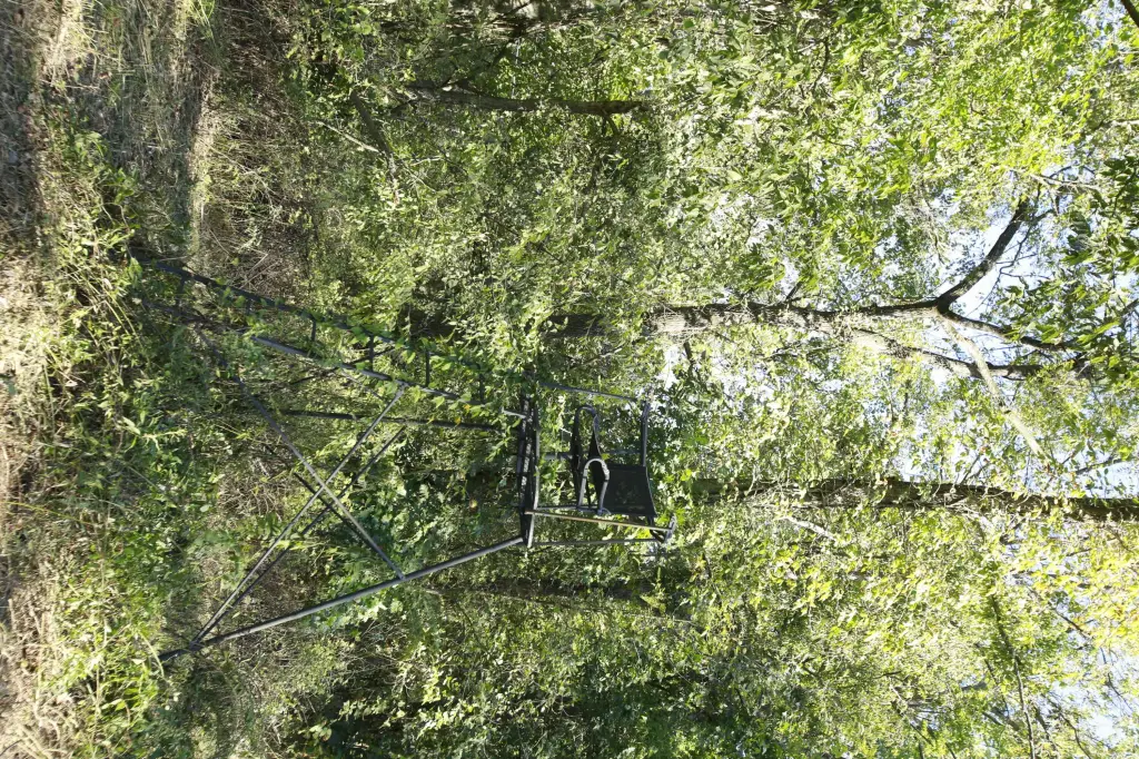Picture 16