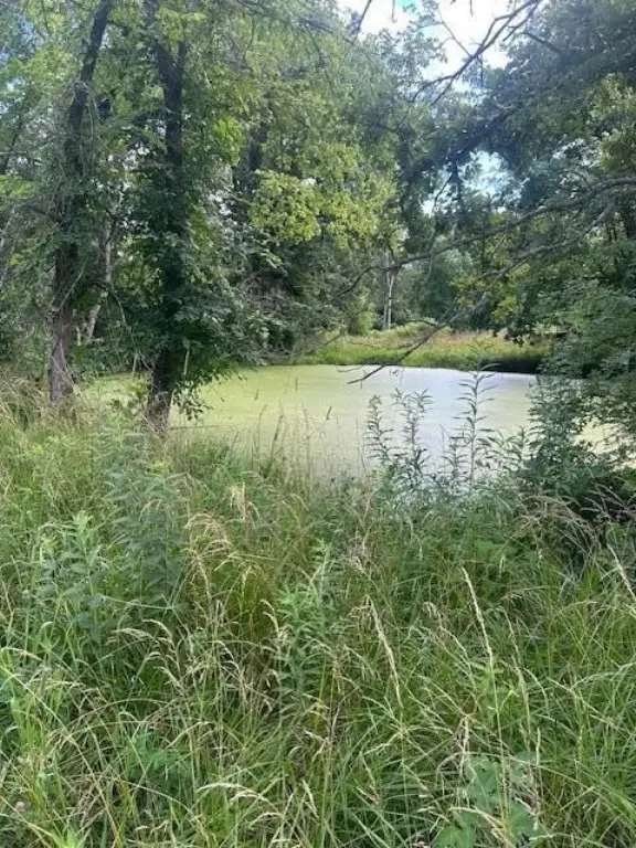 Picture 8
