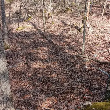 Residential Lot Near Bull Shoals