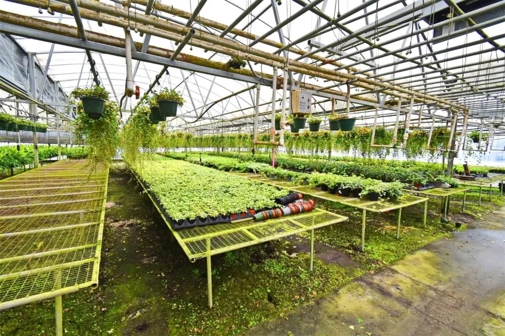 Picture 15