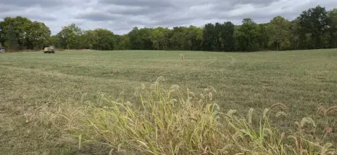 8.57 Acres Agricultural Land