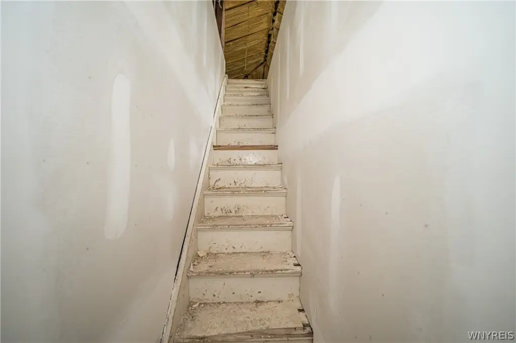 Picture 28