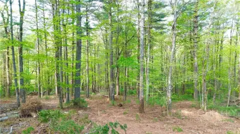 West Jefferson Build-Ready Lot
