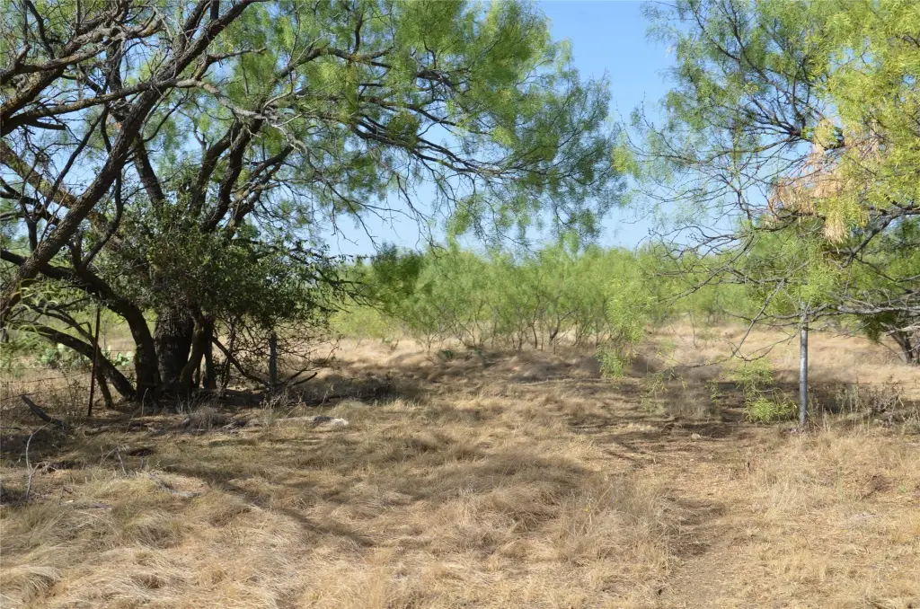 Picture 24