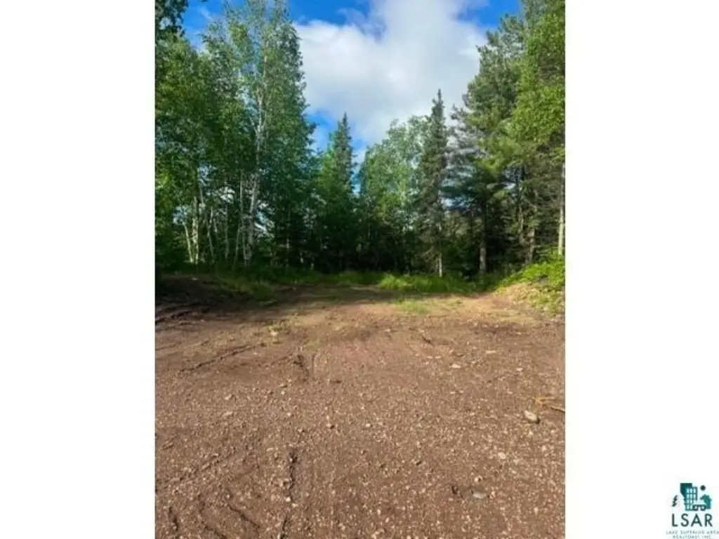 Picture 19