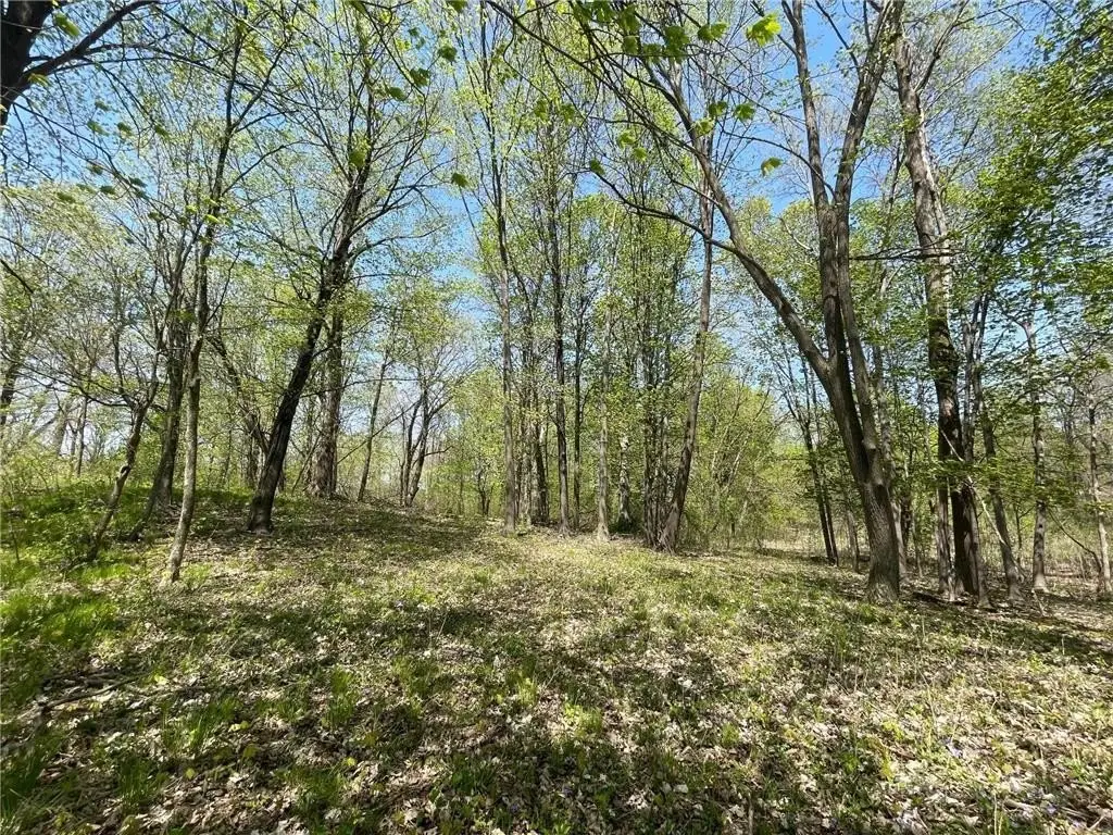 Picture 18