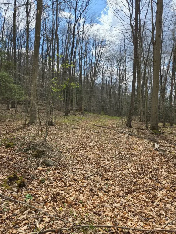 Picture 9