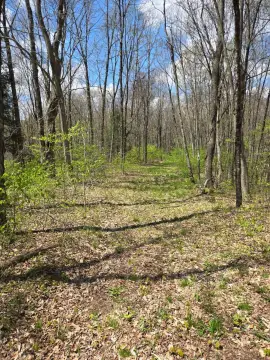 50 Acres Vacant Land
